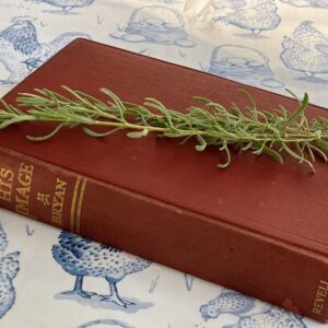 In His Image – used book, front cover